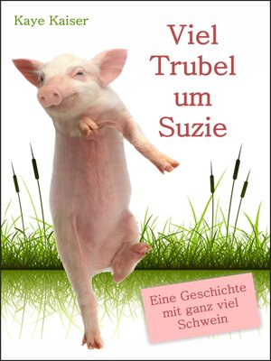 cover image of Viel Trubel um Suzie